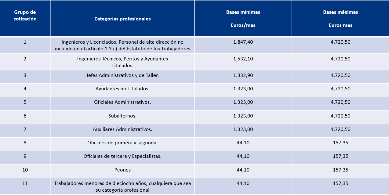 bases cotización