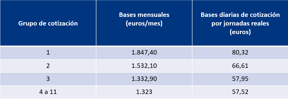 bases cotización