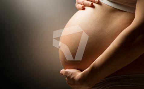 cambios bonificaciones contratos sustitución maternidad